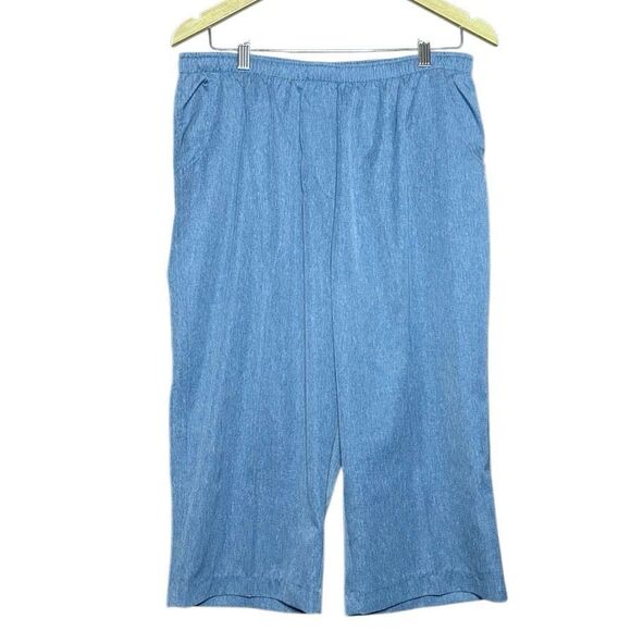 Kim Rogers Blue Short Sleeve Blouse Top Size L & Capri Shorts Size 16P 2 Piece - Picture 7 of 13